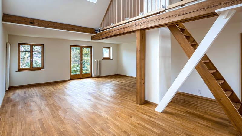 Stilvolles 6-Zimmer-Stadthaus in Basel-St. Johann (10)