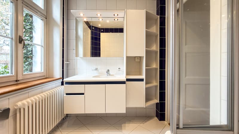 Stilvolles 6-Zimmer-Stadthaus in Basel-St. Johann (4)