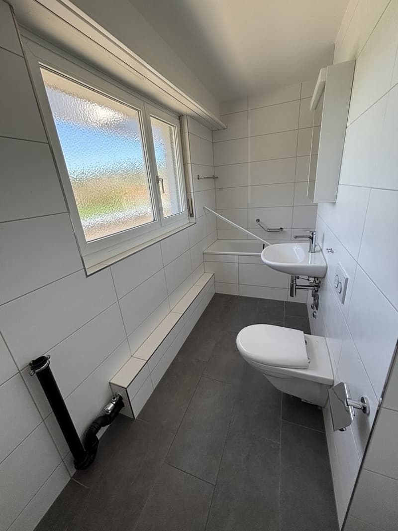 Partially renovated attic apartment with a view of the green (5)