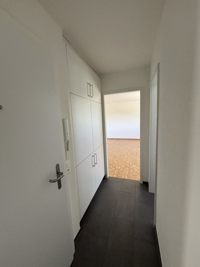 Partially renovated attic apartment with a view of the green (6)