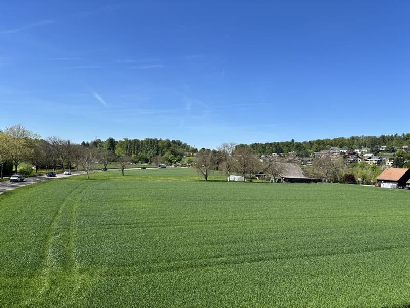 Partially renovated attic apartment with a view of the green (2)