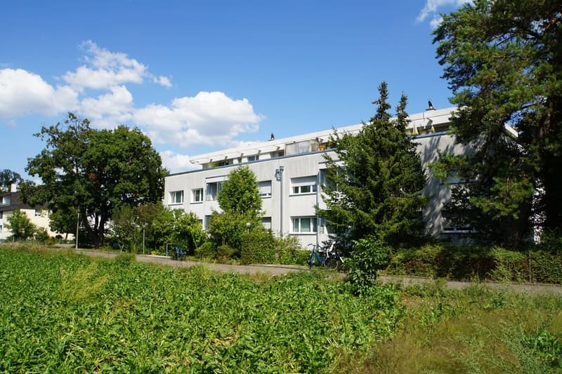 Partially renovated attic apartment with a view of the green (1)