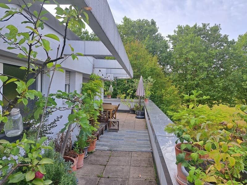 Partially renovated attic apartment with a view of the green (3)