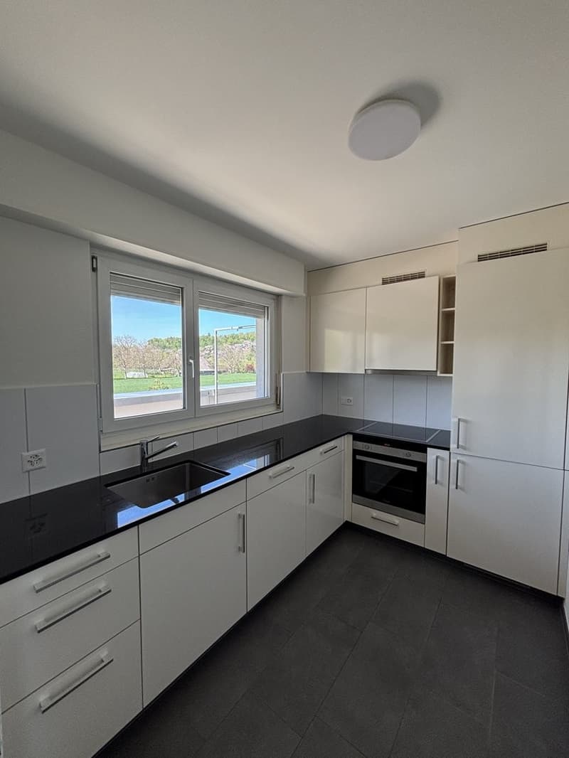 Partially renovated attic apartment with a view of the green (4)