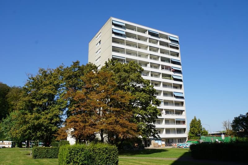 Hinterfassade