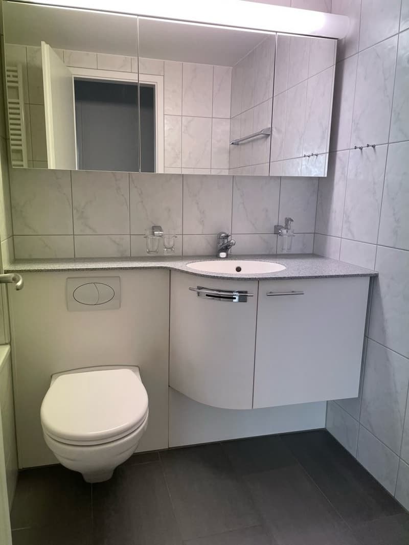 Wohnen im Herzen von Dornach (4)