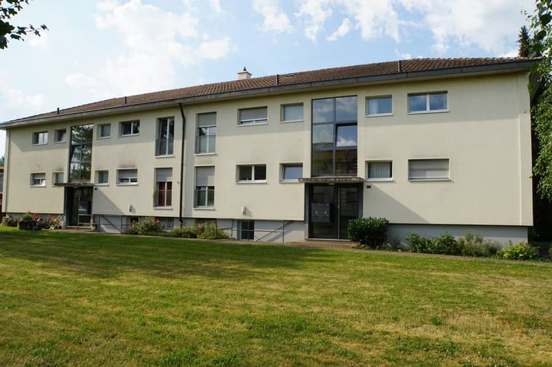 Modern 2-room apartment in Aesch (1)