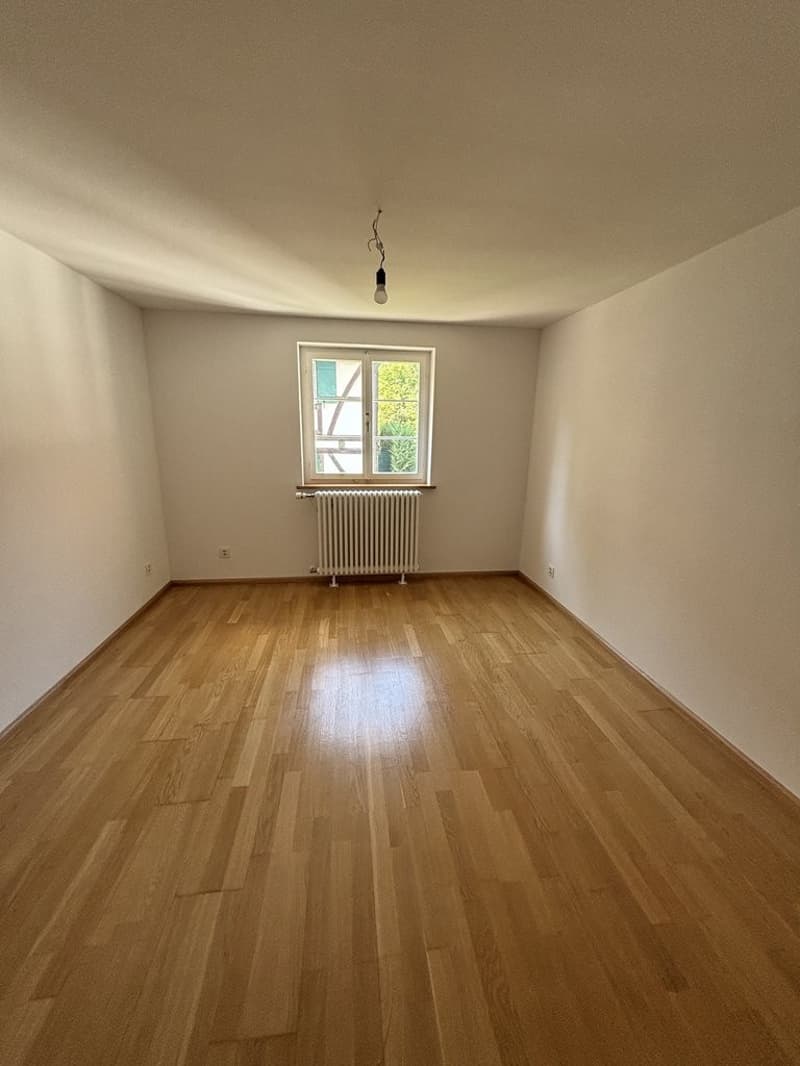 Sanierte 2-Zimmerwohnung an zentraler Lage in Allschwil (4)