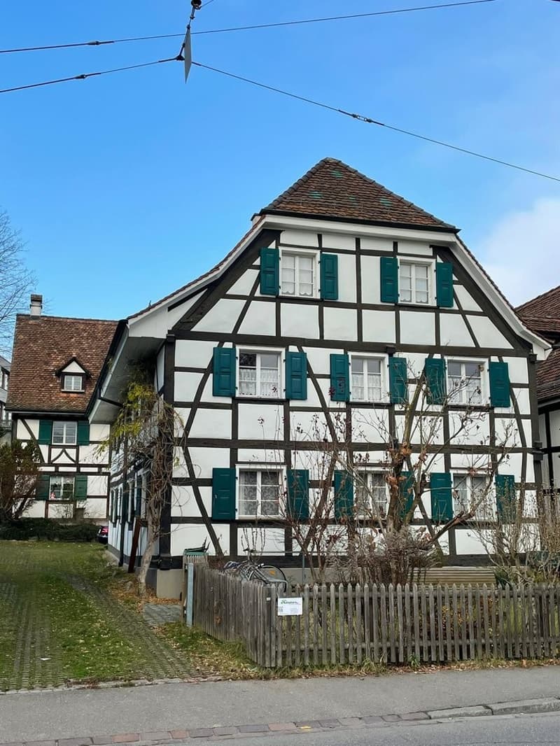 Sanierte zentrale Wohnung in Allschwil (1)