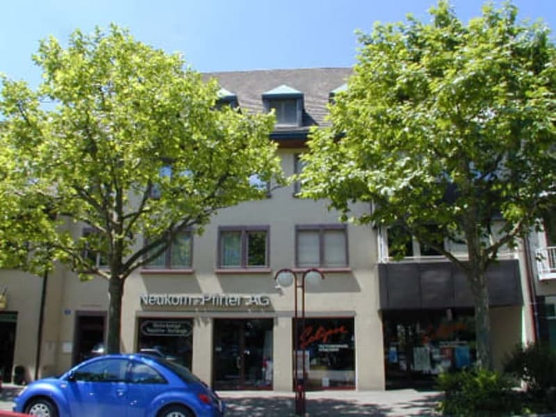 Grosszügige und helle Wohnung in Riehen (1)