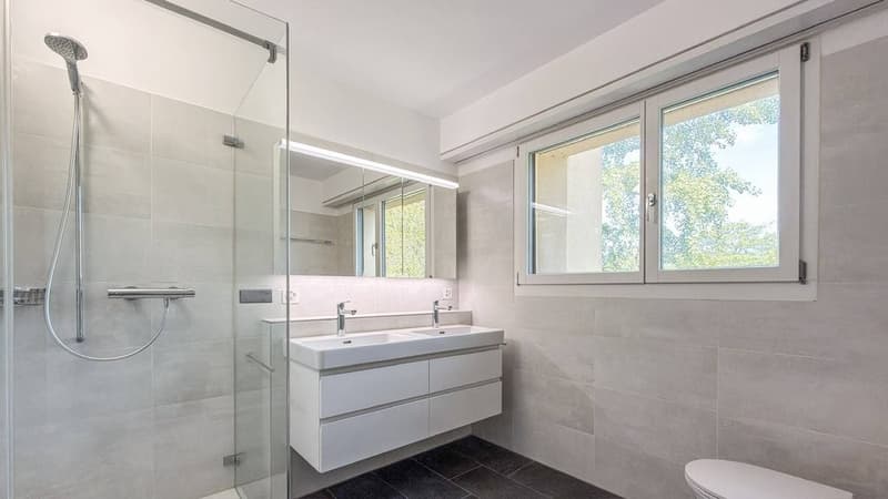 Ruhig im Grünen, zentral in Riehen: 192 m2 Maisonette mit Weitblick (8)