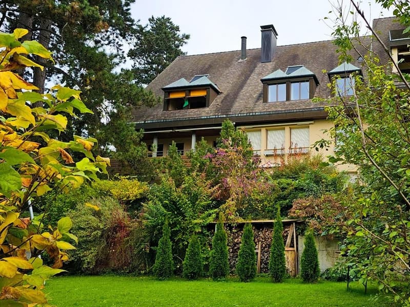 Ruhig im Grünen, zentral in Riehen: 192 m2 Maisonette mit Weitblick (2)