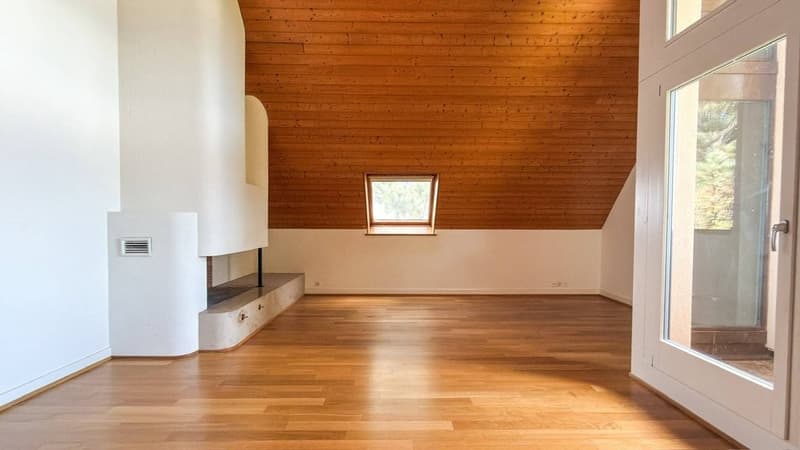 Ruhig im Grünen, zentral in Riehen: 192 m2 Maisonette mit Weitblick (3)