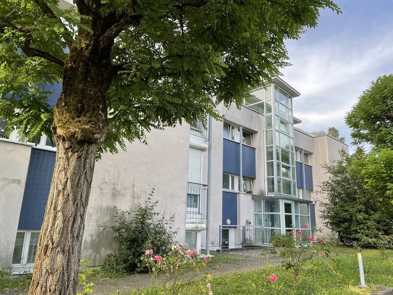 Helle 4-Zimmerwohnung in Reinach Nähe Fiechten (1)