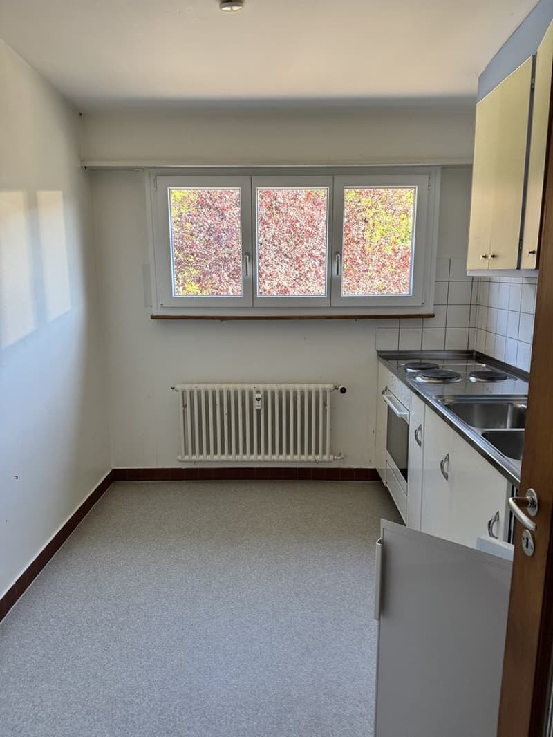 Helle 1-Zimmerwohnung an ruhiger Lage in Riehen (3)