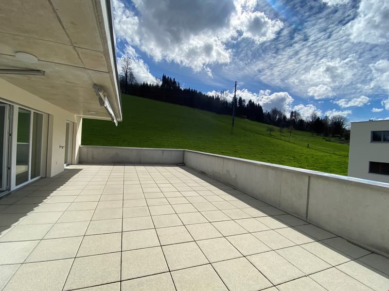 Moderne Attikawohnung - mit grosser Terrasse (1)