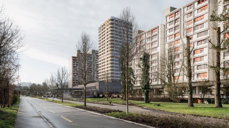Multi-story residential buildings, large glass windows, modern architecture, bare trees, empty road, sidewalk, grassy area