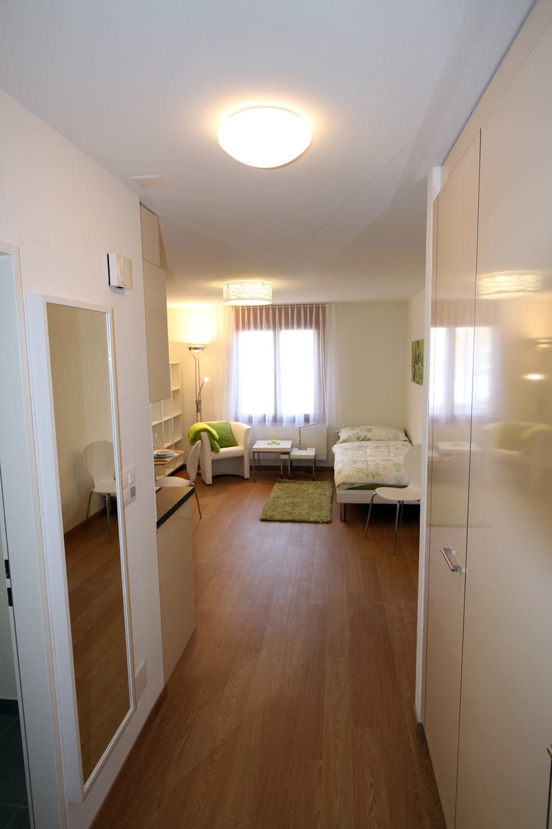 Single Apartment - Furnished and Equipped - Modern (5)