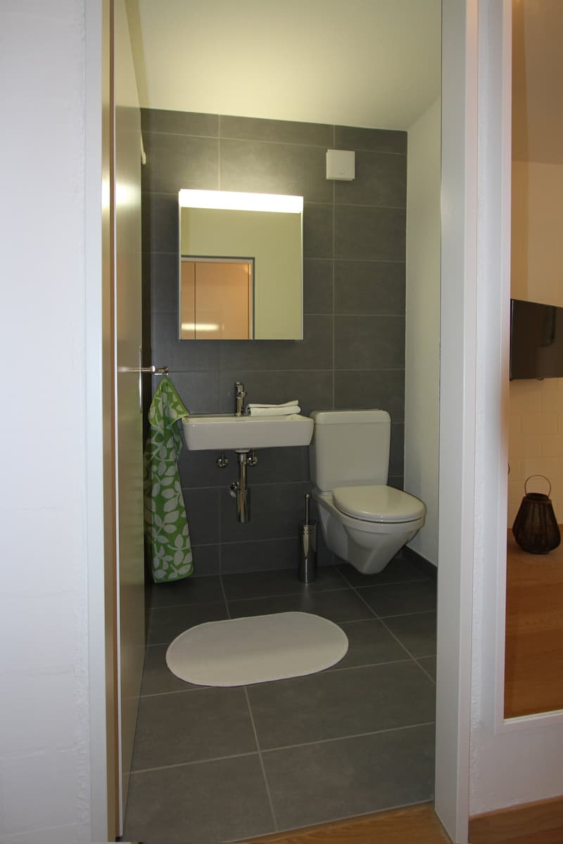 Single Apartment - Furnished and Equipped - Modern (4)