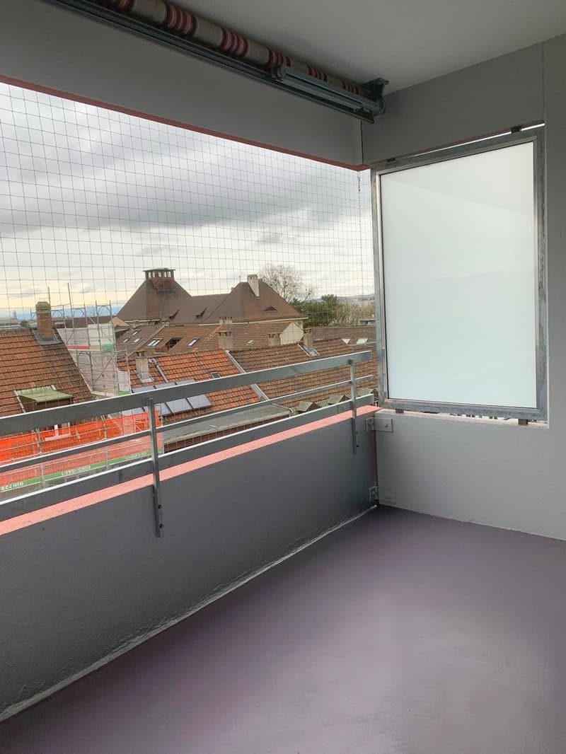 Appartement familial rénové sur Wiesenplatz (6)