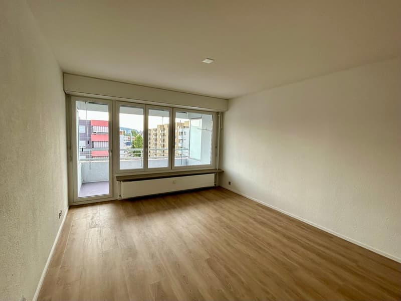 Appartement familial rénové sur Wiesenplatz (3)