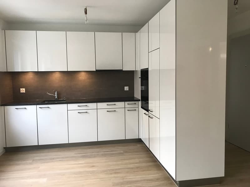 Appartamento ristrutturato di alta qualità con balcone (2)