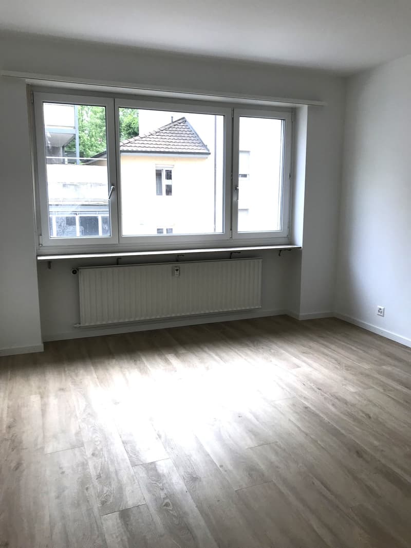Appartamento ristrutturato di alta qualità con balcone (5)