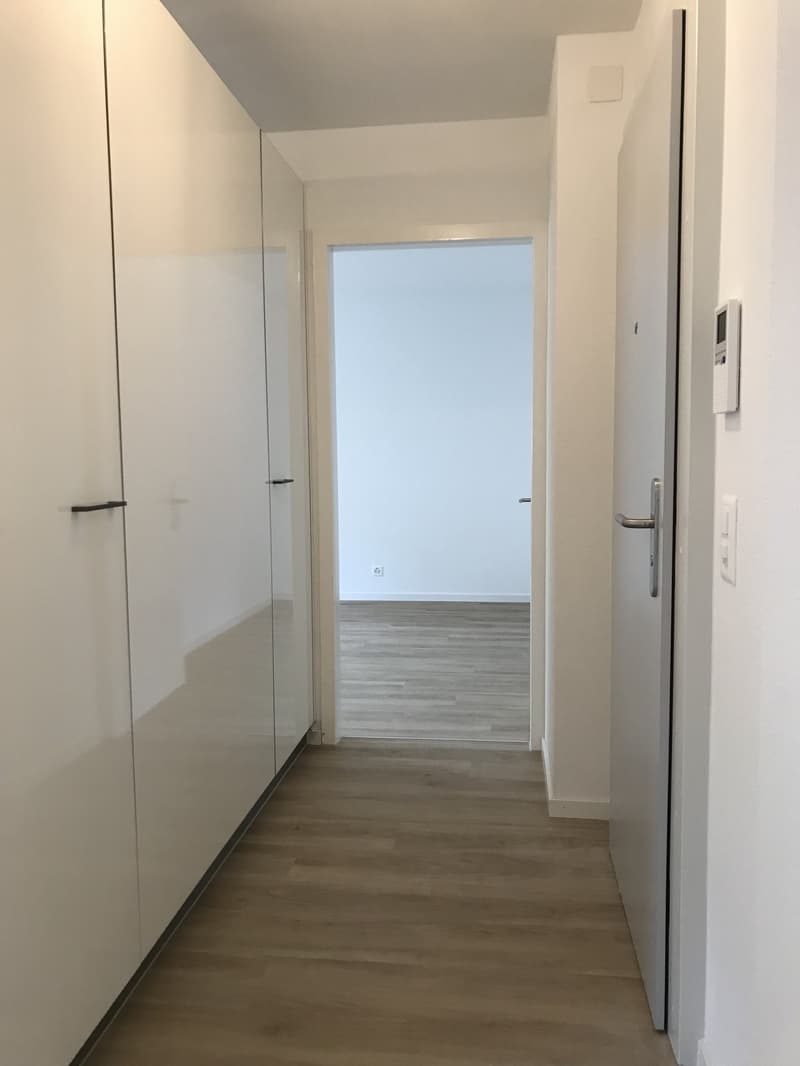 Appartamento ristrutturato di alta qualità con balcone (6)
