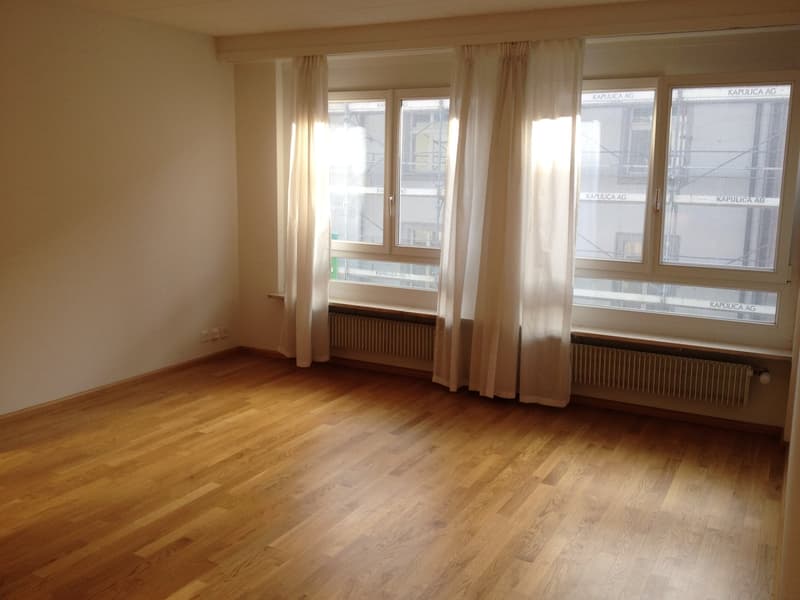 Near city center and SBB train station yet quiet residential area (4)