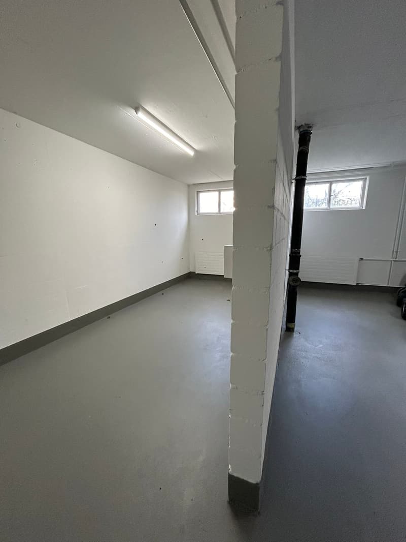 Empty room with white walls, gray floor, two windows, and a ceiling light