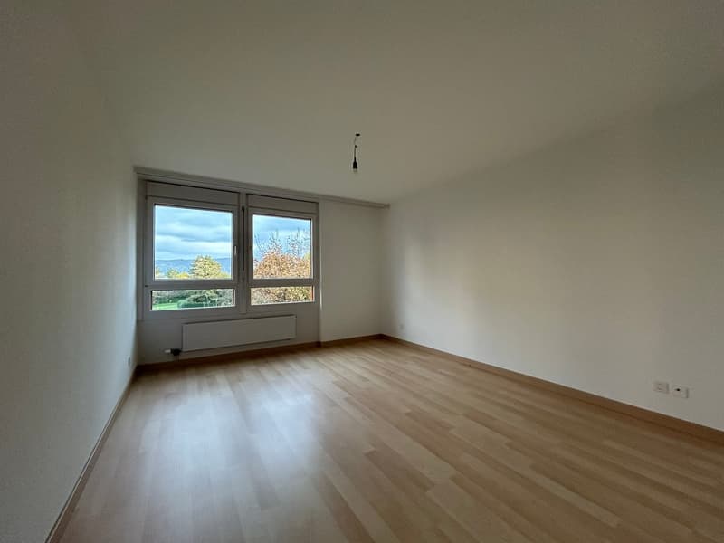 Zimmer