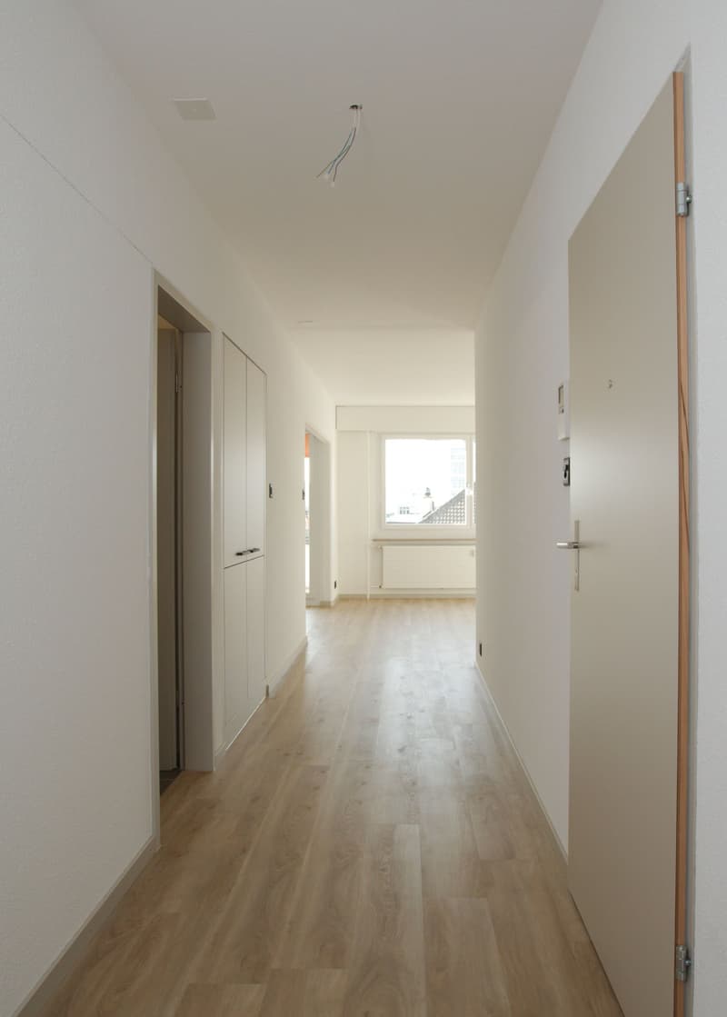 Appartamento attraente e moderno di 3,5 locali in una buona posizione vicino a Wiesenplatz (2)