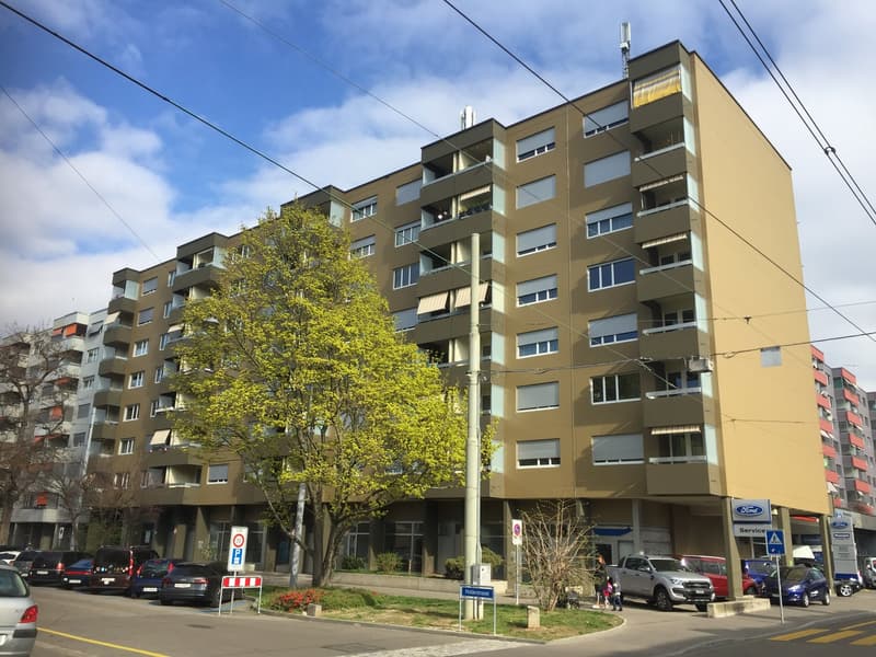 Appartamento attraente e moderno di 3,5 locali in una buona posizione vicino a Wiesenplatz (7)