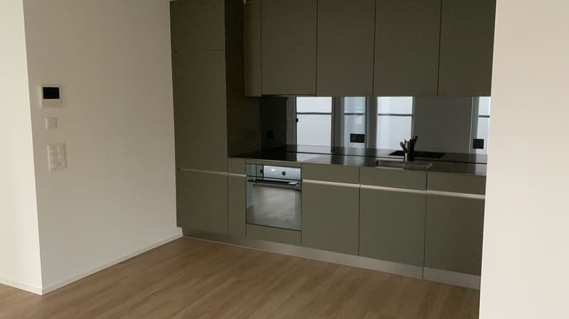 Appartamento moderno in una posizione tranquilla a Kleinbasel (5)