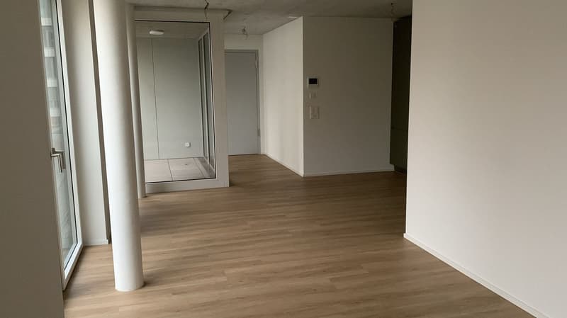 Appartamento moderno in una posizione tranquilla a Kleinbasel (3)