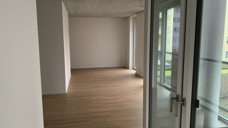 Appartamento moderno in una posizione tranquilla a Kleinbasel (4)