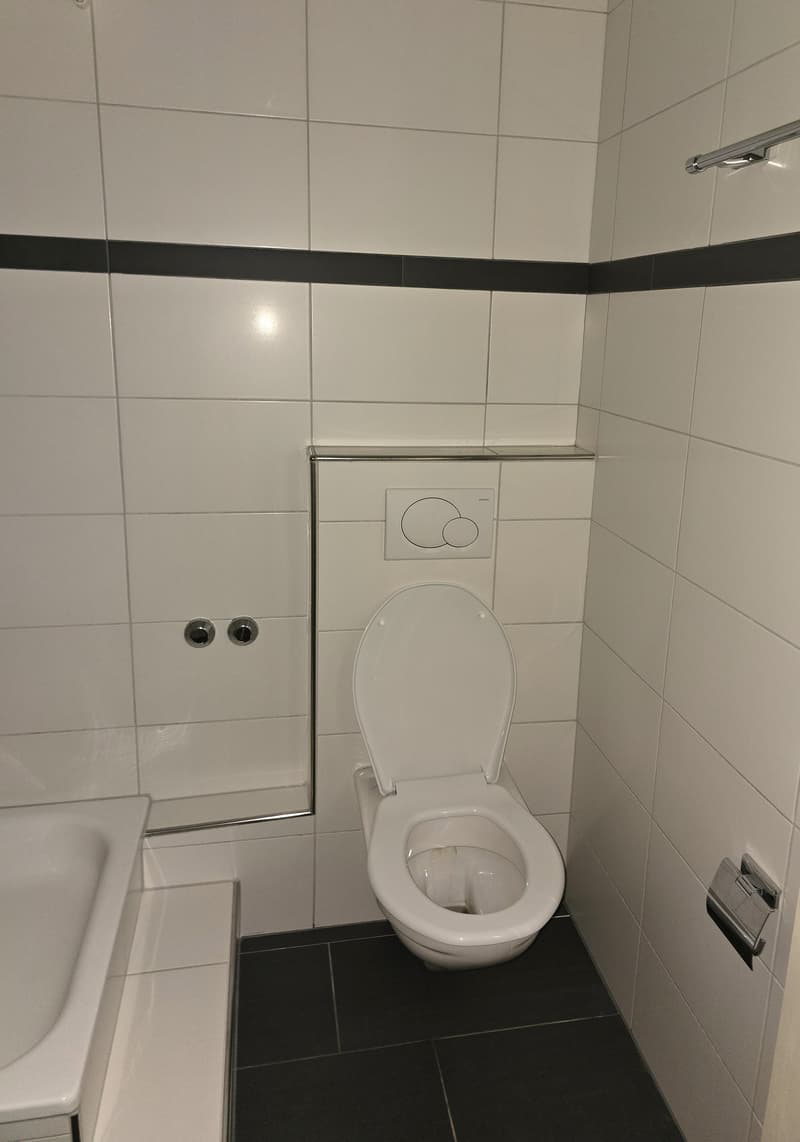 Attraktive 1- Zimmerwohnung an gepflegter Liegenschaft (4)