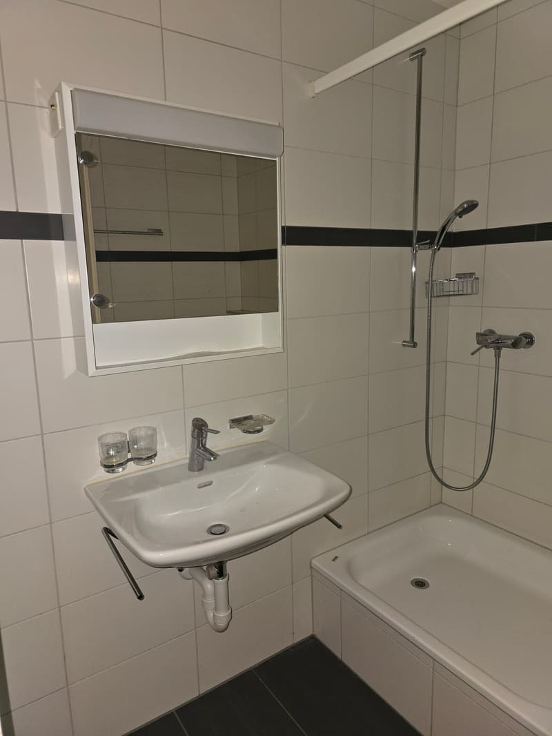 Attraktive 1- Zimmerwohnung an gepflegter Liegenschaft (3)