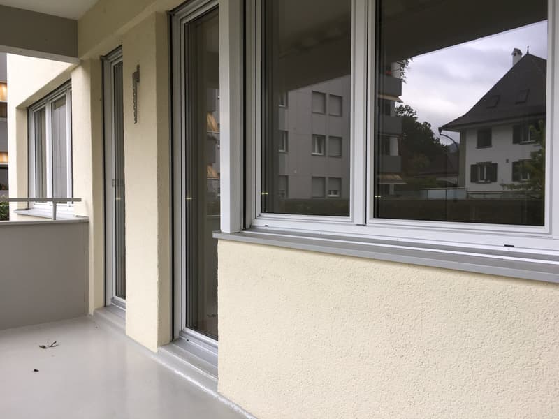 Attraktive 1- Zimmerwohnung an gepflegter Liegenschaft (5)