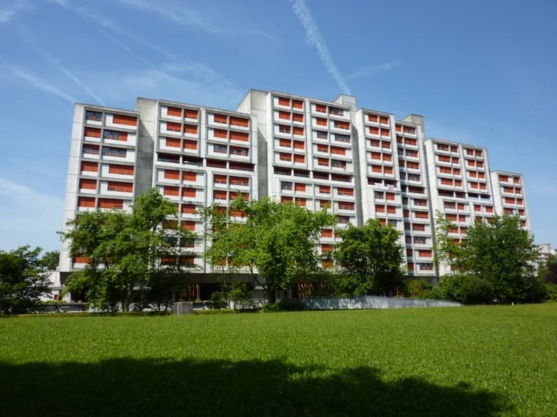 Renovated apartment in green surroundings (1)