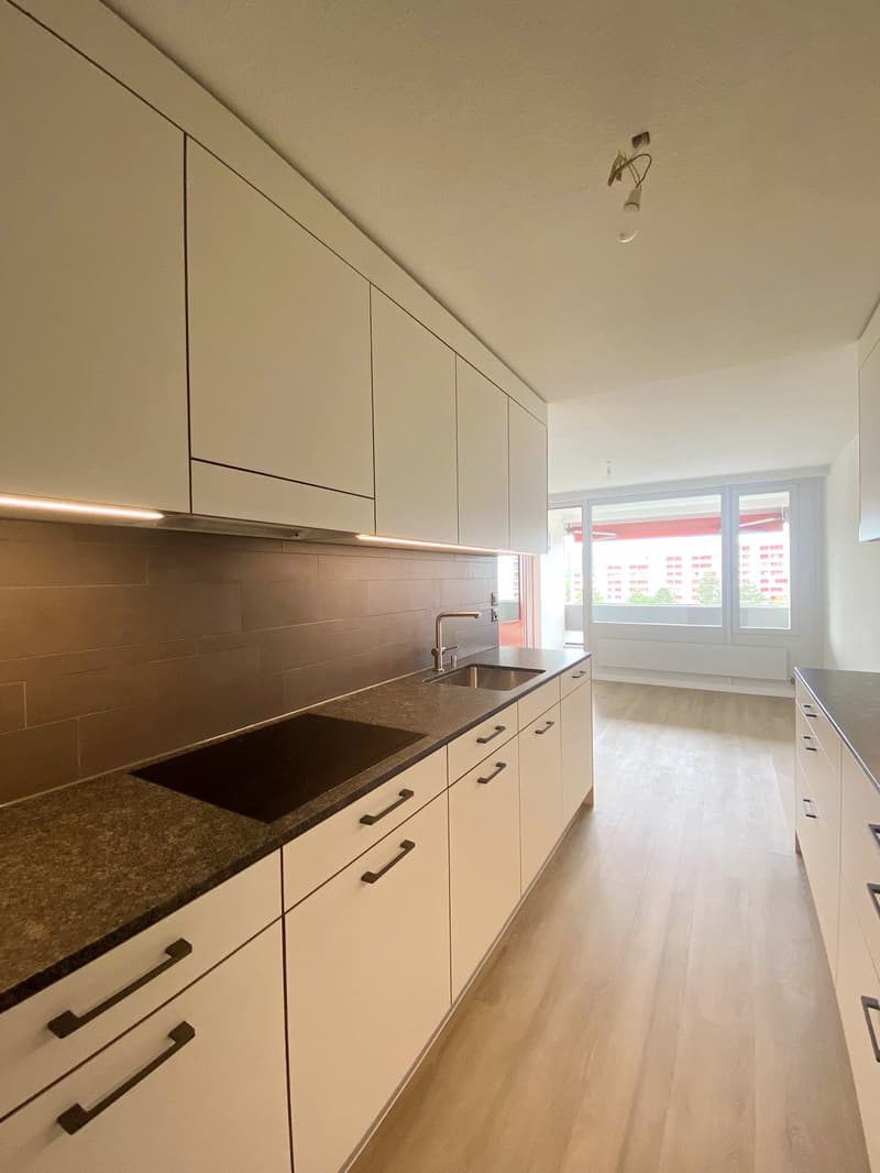 Renovated apartment in green surroundings (9)