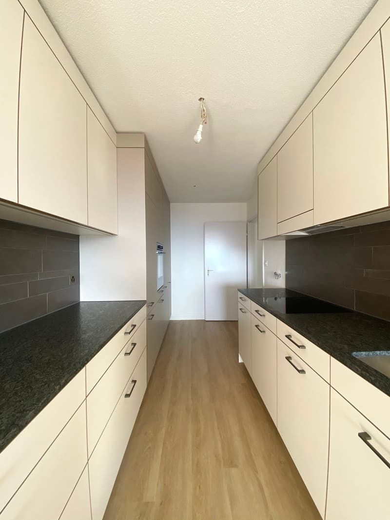 Renovated apartment in green surroundings (3)