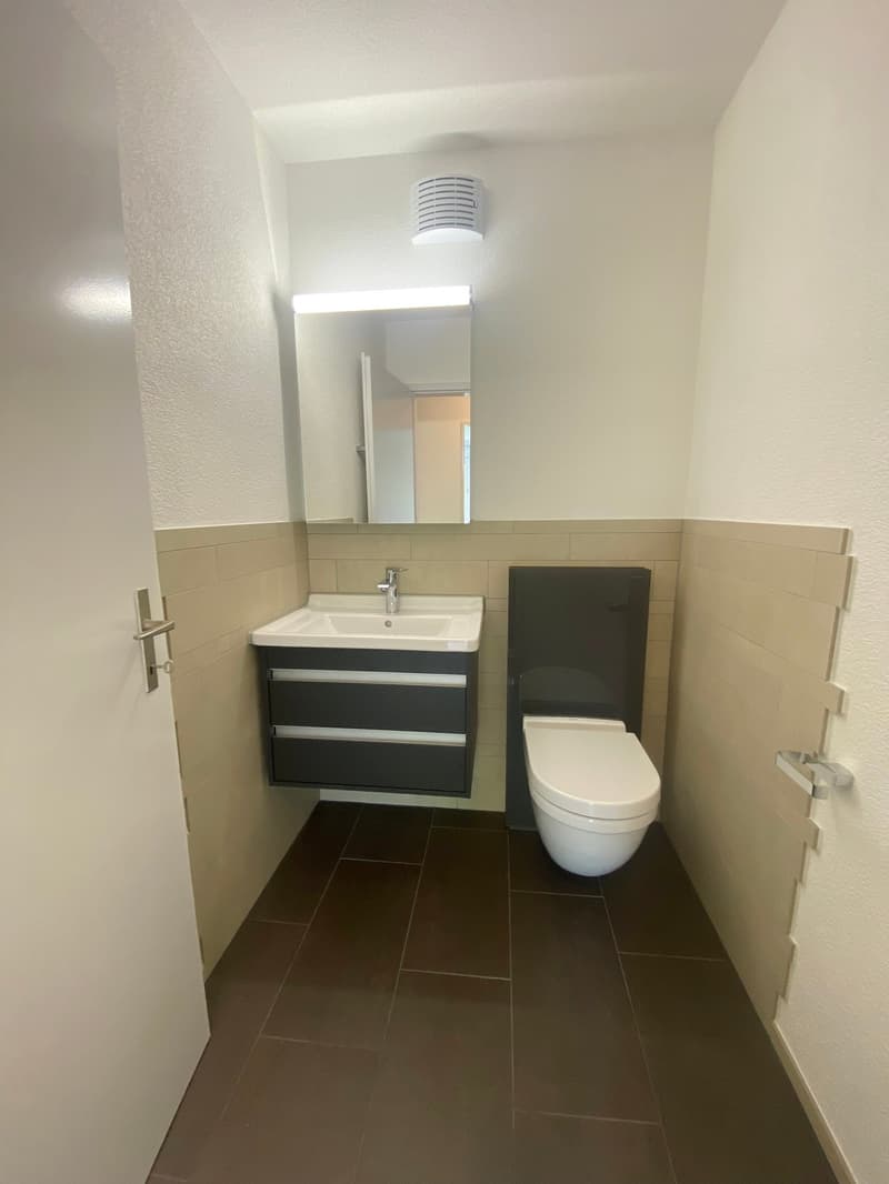 Renovated apartment in green surroundings (5)