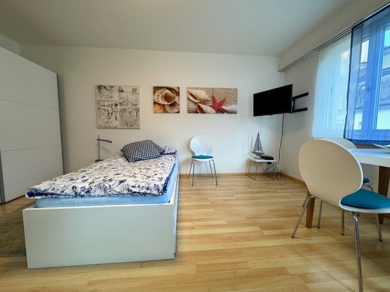 attraktive möblierte und ausgestattete 1-Zimmerwohnung (1)