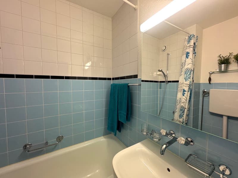 attraktive möblierte und ausgestattete 1-Zimmerwohnung (6)