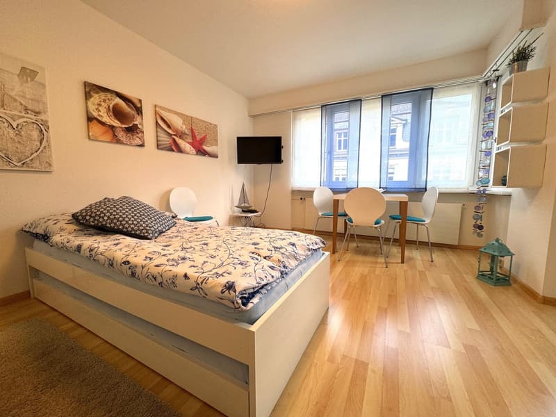 attraktive möblierte und ausgestattete 1-Zimmerwohnung (4)