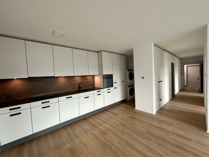 Renovated Family Apartment at Wiesenplatz (1)