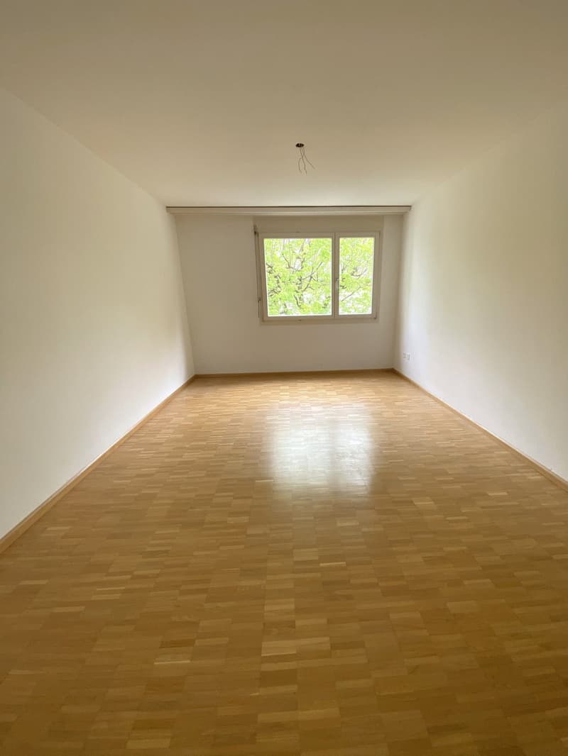 Grosszügige Wohnung in grüner und ruhiger Lage (8)