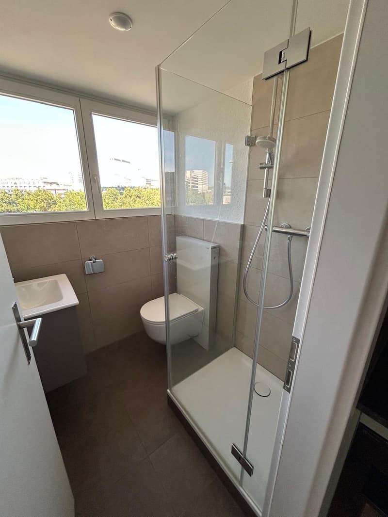 Attraktive Singlewohnung nähe Novartis Campus (5)