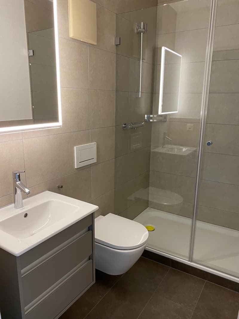 Attraktive, sanierte Wohnung im Kleinbasel (4)